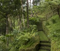 Villa Hartland Estate, Garden Path